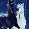 Efren Cobos - @efren.cobos3 - TikTok