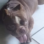 Efren De luna - @efrende.luna - Instagram