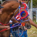 Efren Enriquez - @efrenenriquez49 - Instagram
