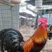 Efren Espitia - Facebook