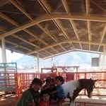Jesús Efrén Castillo Evaristo - @evaristojesusefrencastillo - Instagram
