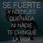 Efren Garay Estrada - @efrenestrada9765 - Instagram