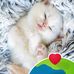 Efren Gasca - Facebook