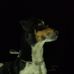 Efren Gasca R - Facebook