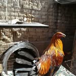 Efren Gomez - @efren.gomez.37853 - Instagram