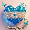 efrengomez488 - @efren.gomez26 - TikTok