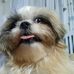 Efren Gutierrez - Facebook