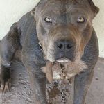 Jesus Efren Heredia Heredia - @jesus.heredia78 - Instagram