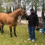 Efrén Padilla Hermosillo - @efrenpadillahermosillo - Instagram