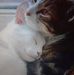 Efren Jasso - Facebook