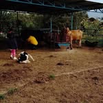 Efren Saldivar - @efren.jaureguisaldivar - Instagram