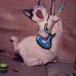 Efren Cillo Limbasan - @efrenlimbasan - Instagram