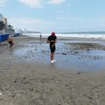 Efren  Macias /  Trading life 🇪🇨 - @efrenmaciasfx - Instagram