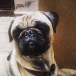 Efren Manuel Tirado Tirado - @efrenmanueltirado - Instagram