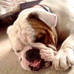 Efren Mata - @aztrofan1 - Instagram