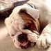 Efren Mata - Facebook