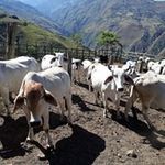 Efren Narvaez Rodriguez - @efrennarvaezrodriguez - Instagram