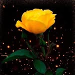 Efren Rios - @efrenrios9005 - Instagram