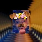 Efren Vargas - @efrenvargas5916 - Instagram