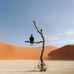 Iftikhar Husian - Facebook