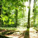 Ehab Hashem - @ehab9576 - Instagram