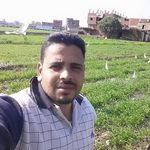 Ehab Hashem - @ehab.hashem.336 - Instagram