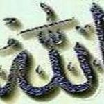 ehab hashem mahran - @ehab_hashem_mahaan - Instagram