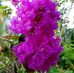 Easan Biswas - Facebook