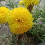 Ehsan Ulla Biswas - @ehsanullabiswas - Instagram