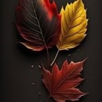 Ehsan Patel - @ehsanpatel08 - Instagram