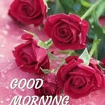 Ehsan Patel Ehsan Patel - @ehsanpatelehsanpatel - Instagram