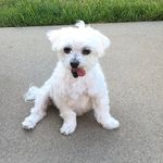 Eileen Allen - @eileena_501 - Instagram