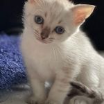 Eileen Allen - @eileenallen515 - Instagram