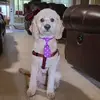 Eileen Allen - @eileen.allen - TikTok