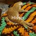 Eileen Armstrong - Facebook