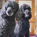 Eileen Armstrong - Facebook