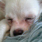 emily eileen avery - @emilyavery.2003 - Instagram