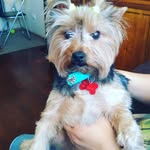 Eileen bachmann - @eileen_bachmann - Instagram