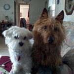 Eileen Barker - @eileenbarker54 - Instagram