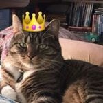 Eileen Feeley Barker - @eileen7355ely - Instagram
