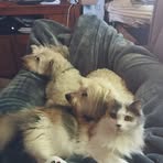 Eileen Barton - Facebook