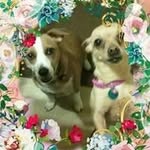 Eileen Barton - @eileenbarton321 - Instagram