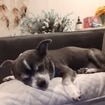 Eileen Baxter - @eileenbaxter1313 - Instagram