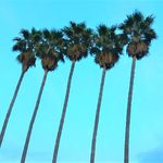 Eileen Begley / EchoBravoArt - @echobravoart - Instagram