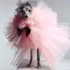 eileenbegley24 - @eileenbegley24 - TikTok