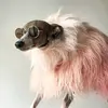 eileenbegley - @eileenbegley - TikTok