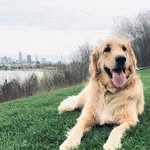Eileen T. Beltz - @eileenbeltz - Instagram