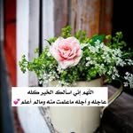 Eileen Belle - @adraradrar174 - Instagram