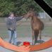 Alan Benfield - Facebook