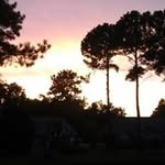 Eileen Benson - @eben0307 - Instagram